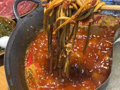 -阳阳老火锅(小南门店)