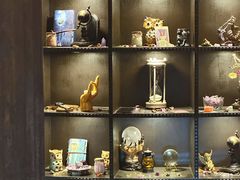 -雪灵魔法世界SHELLY’S TAROT(大良桂畔里店)