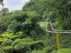 -白马涧龙池景区