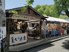 -苏州本色美术馆