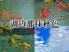 -广州市流溪河国家森林公园