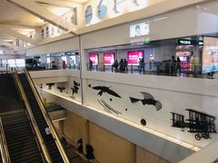 -厦门高崎国际机场-T3航站楼