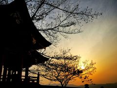 -有栖山 清光院 清水寺