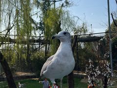-杭州野生动物世界
