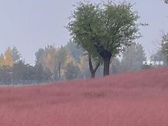 -汉长安城未央宫国家考古遗址公园