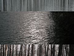 -贡湖湾湿地公园