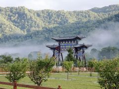 -黑河国家森林公园