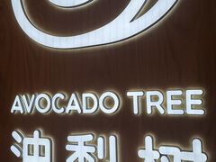 -油梨树AVOCADO TREE(嘉里中心店)