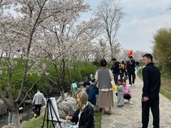 -羊山湖公园