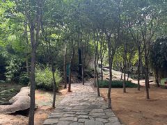-沂蒙云瀑洞天景区