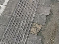 -杭州城北体育公园