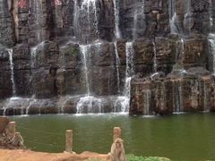 -海南热带野生动植物园