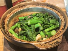 生炒菜心-壹零捌道·北京烤鸭(车公庄店)