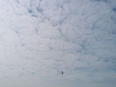 -白沙门生态公园