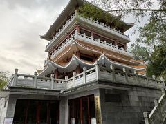 -水濂山森林公园