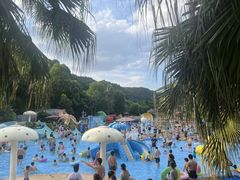 -重庆海昌加勒比海水世界