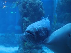 -海合安青岛极地海洋公园