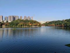 -重庆彩云湖湿地公园