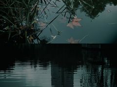 -绵阳人民公园(涪城区)
