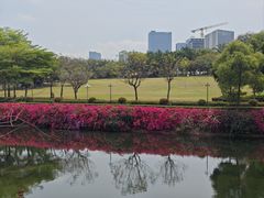 -深圳龙潭公园