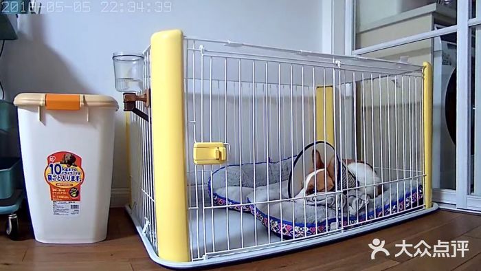 爱侣宠医·鹦鹉专科·小型哺乳类·异宠专科(灵石路店)图片