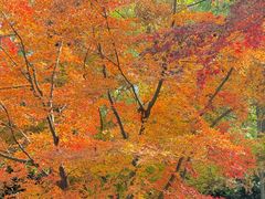 -狼山风景名胜区