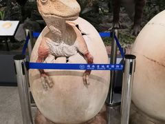 -湖南省地质博物馆