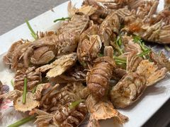 -佳和水饺(海德公馆店)