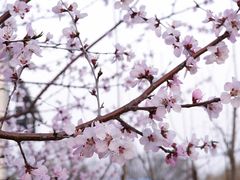 景点-元大都城垣遗址公园