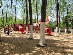 -合肥滨湖国家森林公园