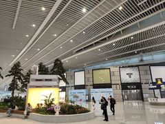 -青岛胶东国际机场