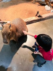 -Zoolung Zoolung动物主题公园(海信广场店)