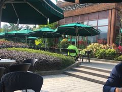 -雨林餐厅(长隆海洋王国店)