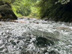 -西岭雪山大飞水景区