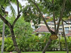 -三亚海棠湾万丽度假酒店