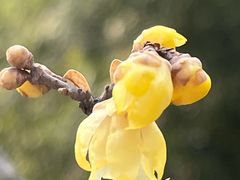 -尹三豆汁(前门旗舰店)