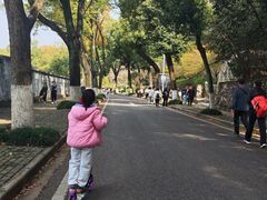 -龟山风景区-龟山电视塔