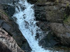 -广州白江湖森林公园