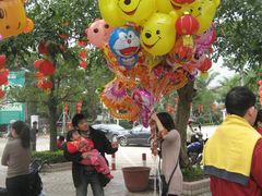 -广东茂名森林公园