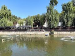 -尚庄度假村·庭台树下·户外烧烤·团建CS·轰趴营地(上庄水库店)