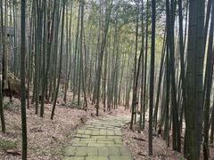 -江南天池