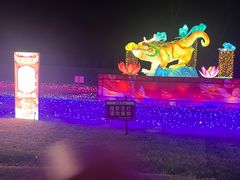 -金沙湖旅游度假区
