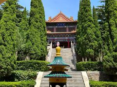-龙口南山旅游景区