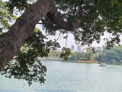 -荔湾湖公园