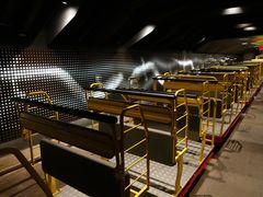 -波斯托伊纳溶洞