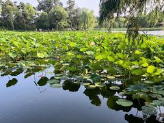 -承德避暑山庄景区