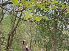 -金堂县云顶石城风景区