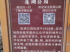 -莲湖公园