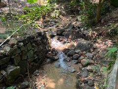 -火炉山森林公园