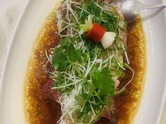 -海王老记